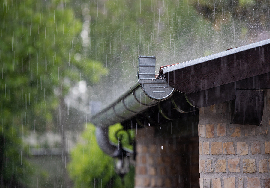 rain water and gutter maintenance