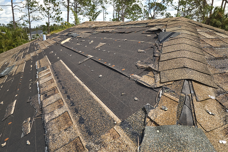 roof rejuvenation or roof replacement