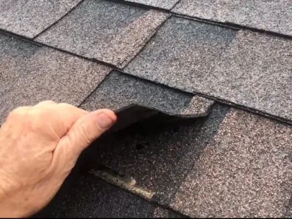 The flexibility is back in this shingle like it was new, after Roof Regeneration services were done by No Mess Gutters & Roofing Services, Inc. - Spring, TX
