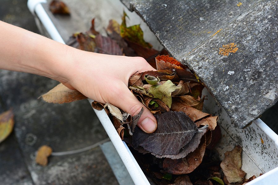 Spring Gutter Cleaning